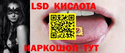 шишки Долгопрудный