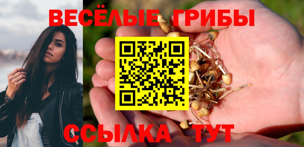 Псилоцибиновые грибы Psilocybine cubensis Белогорск