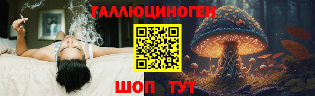 Белогорск  Псилоцибиновые грибы Magic Shrooms  Вход с VPN 