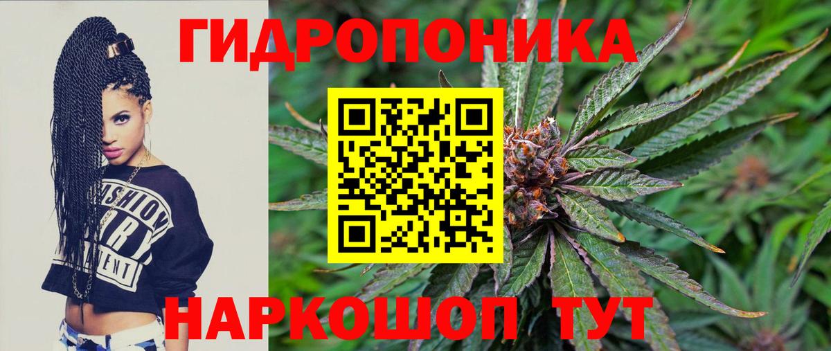 Канабис OG Kush  Бошки Шишки гибрид  Бошки Шишки план  Белогорск  Вход с VPN 